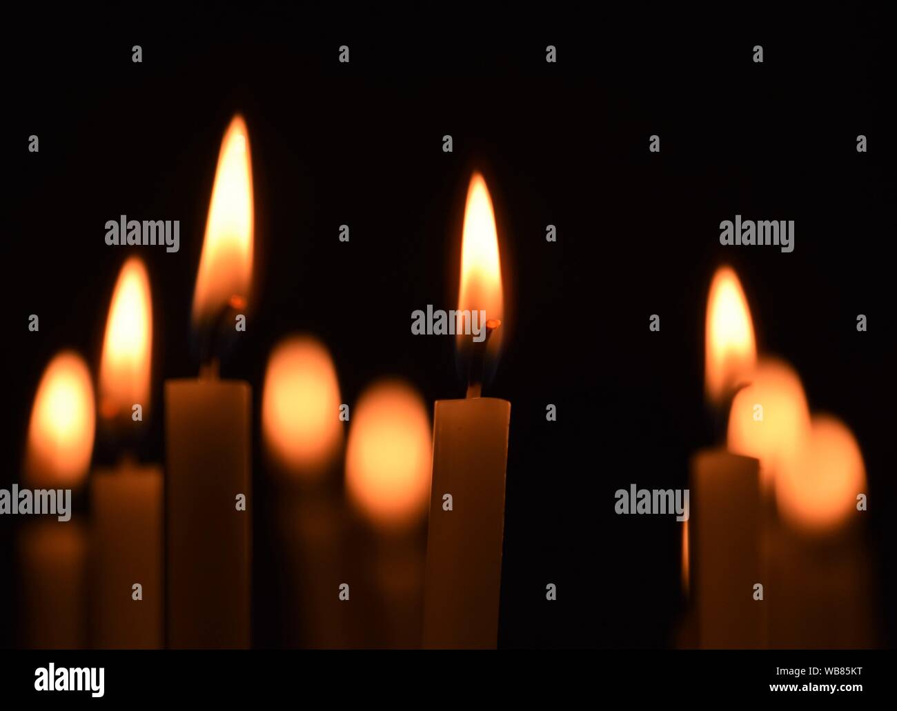 Candele accese tutte anima il giorno del lume di candela Foto Stock
