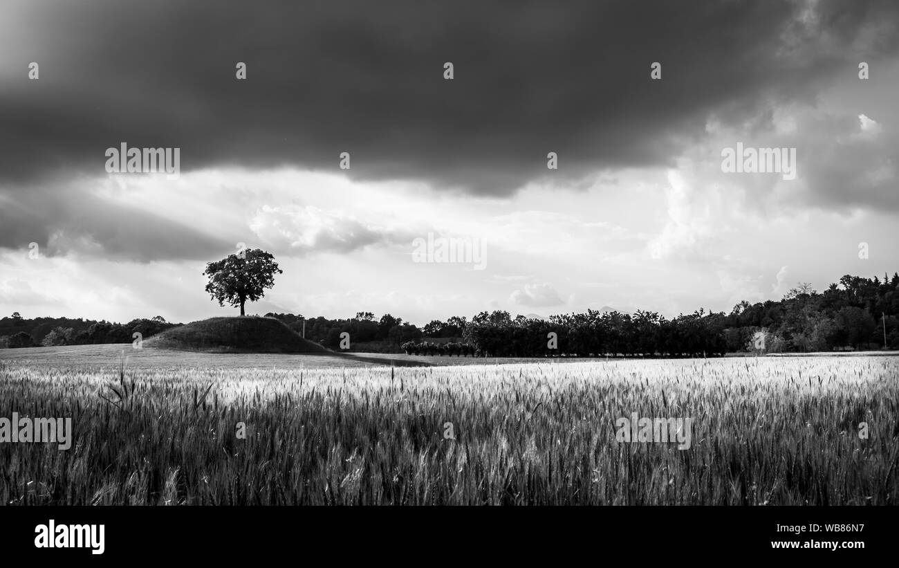 Campi del Friuli Venezia Giulia in una burrascosa giornata di primavera Foto Stock