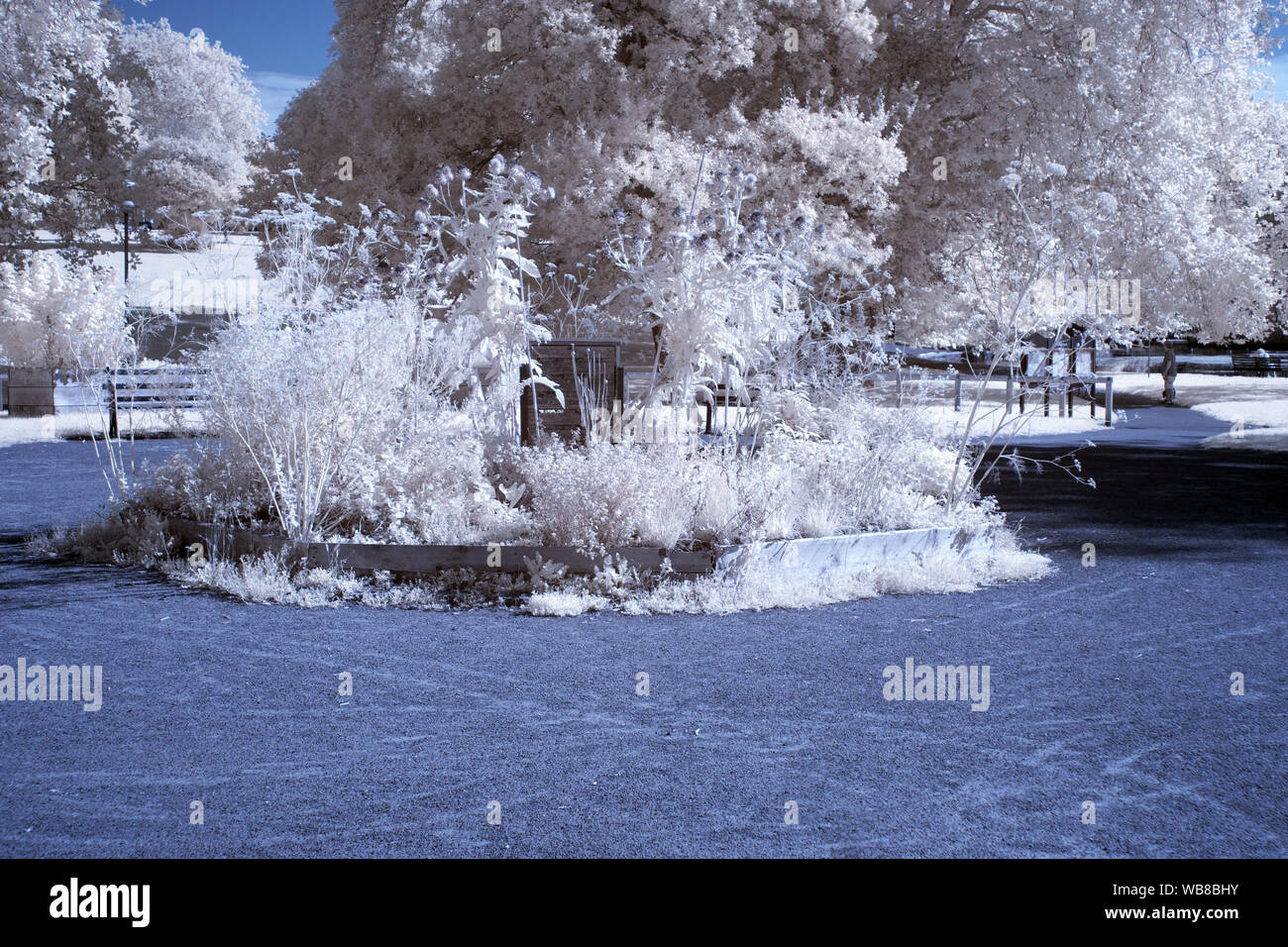 Parco a infrarossi & Paesaggio fotografie scattate in Bristol REGNO UNITO. Foto Stock