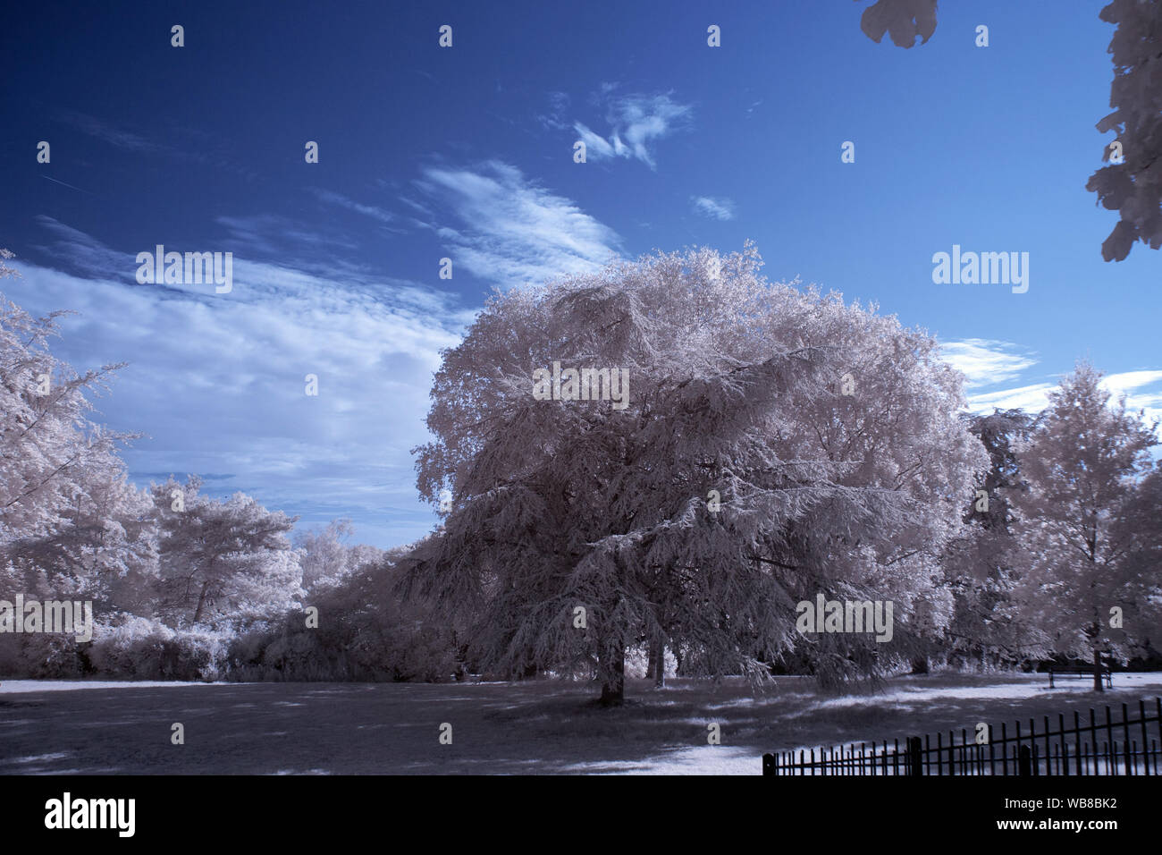 Parco a infrarossi & Paesaggio fotografie scattate in Bristol REGNO UNITO. Foto Stock