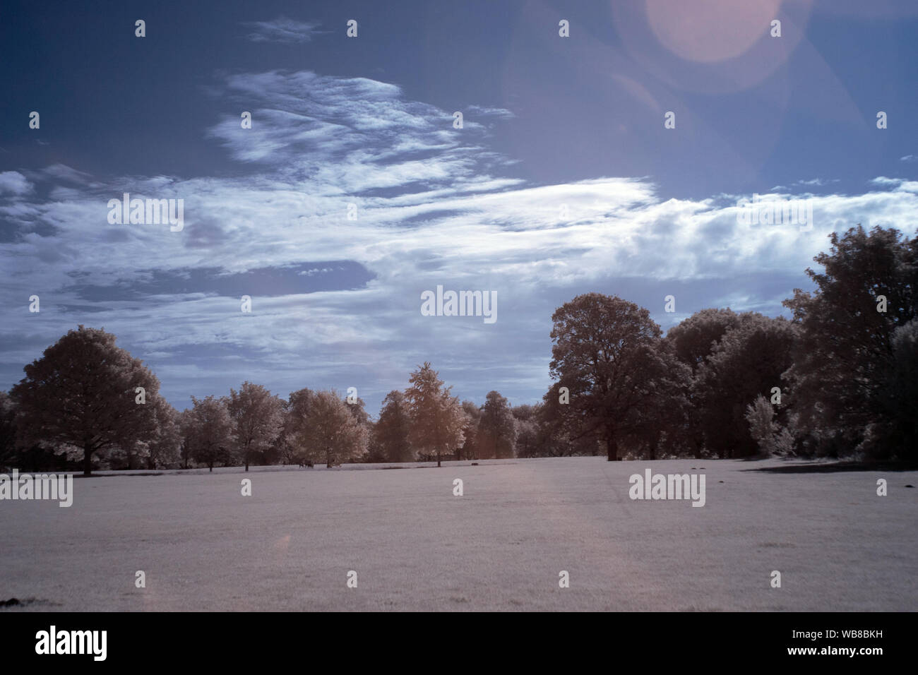 Parco a infrarossi & Paesaggio fotografie scattate in Bristol REGNO UNITO. Foto Stock