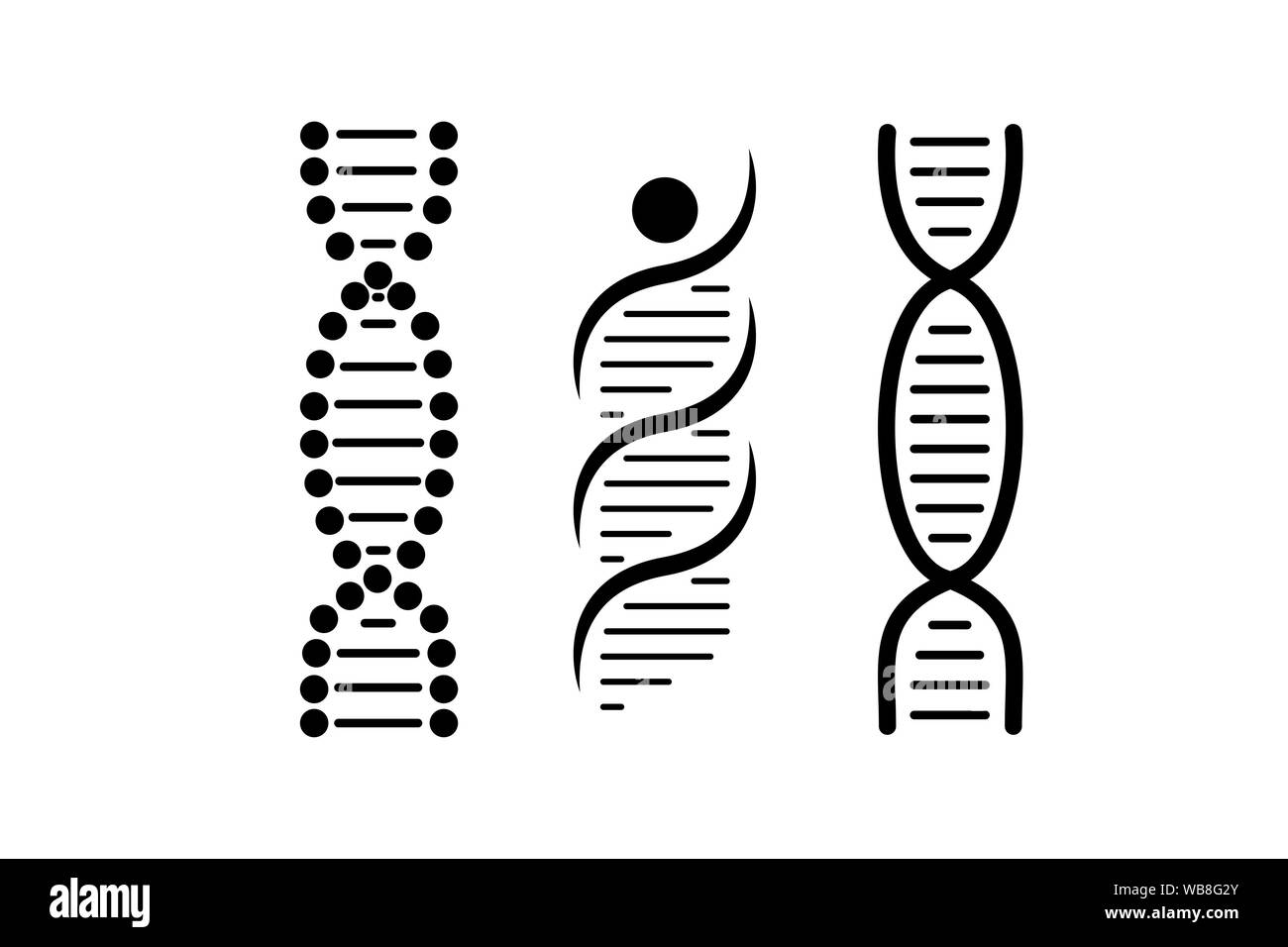 Il vettore di DNA linee nere su fondo bianco Foto Stock