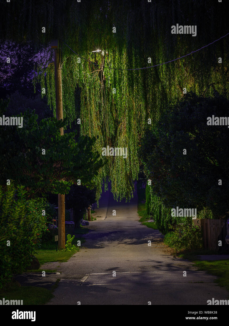 Salice piangente albero sovrastante Small Alley di notte con luce di strada Foto Stock