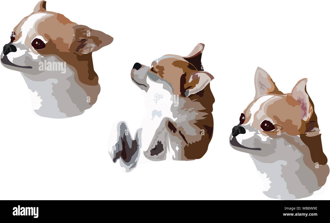 Faccia colpi di Chihua hua cane con emozioni diverse, Sleepy Dog, uscito dog face, illustrazione vettore grafico pop art isolati su sfondo bianco Illustrazione Vettoriale