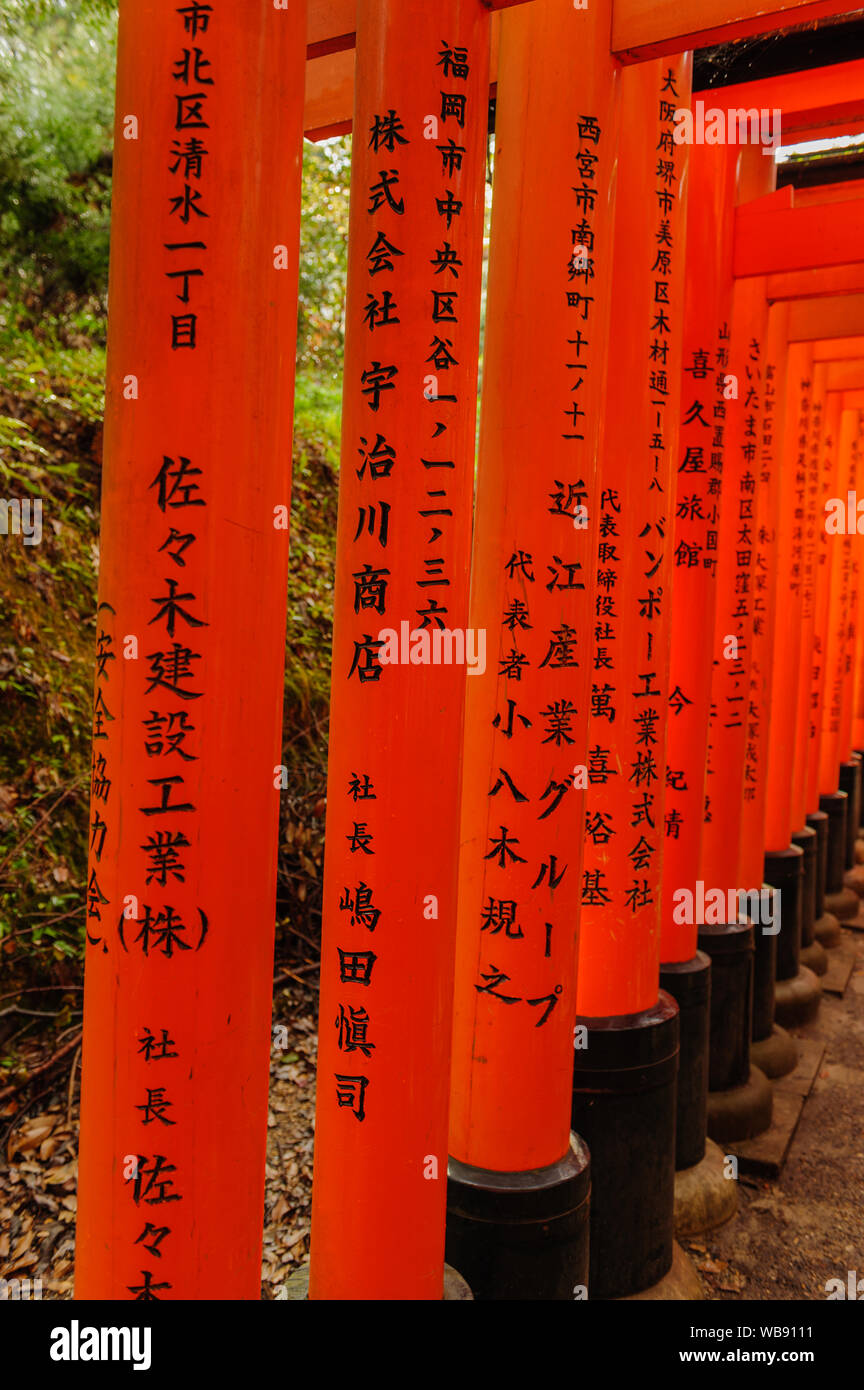 Infinite vermiglio corridoio di Torii con caratteri giapponesi nei famosi Fushimi Inaria-Taisha nel forsts intorno a Kyoto, Giappone Novembre 2018 Foto Stock