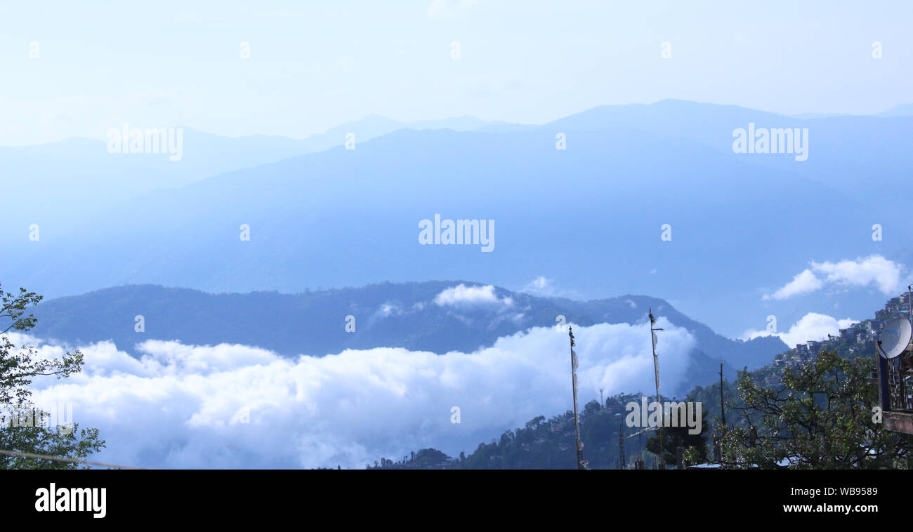 Il miglior Darjeeling Himalayan Immagini Download gratuito Foto Stock