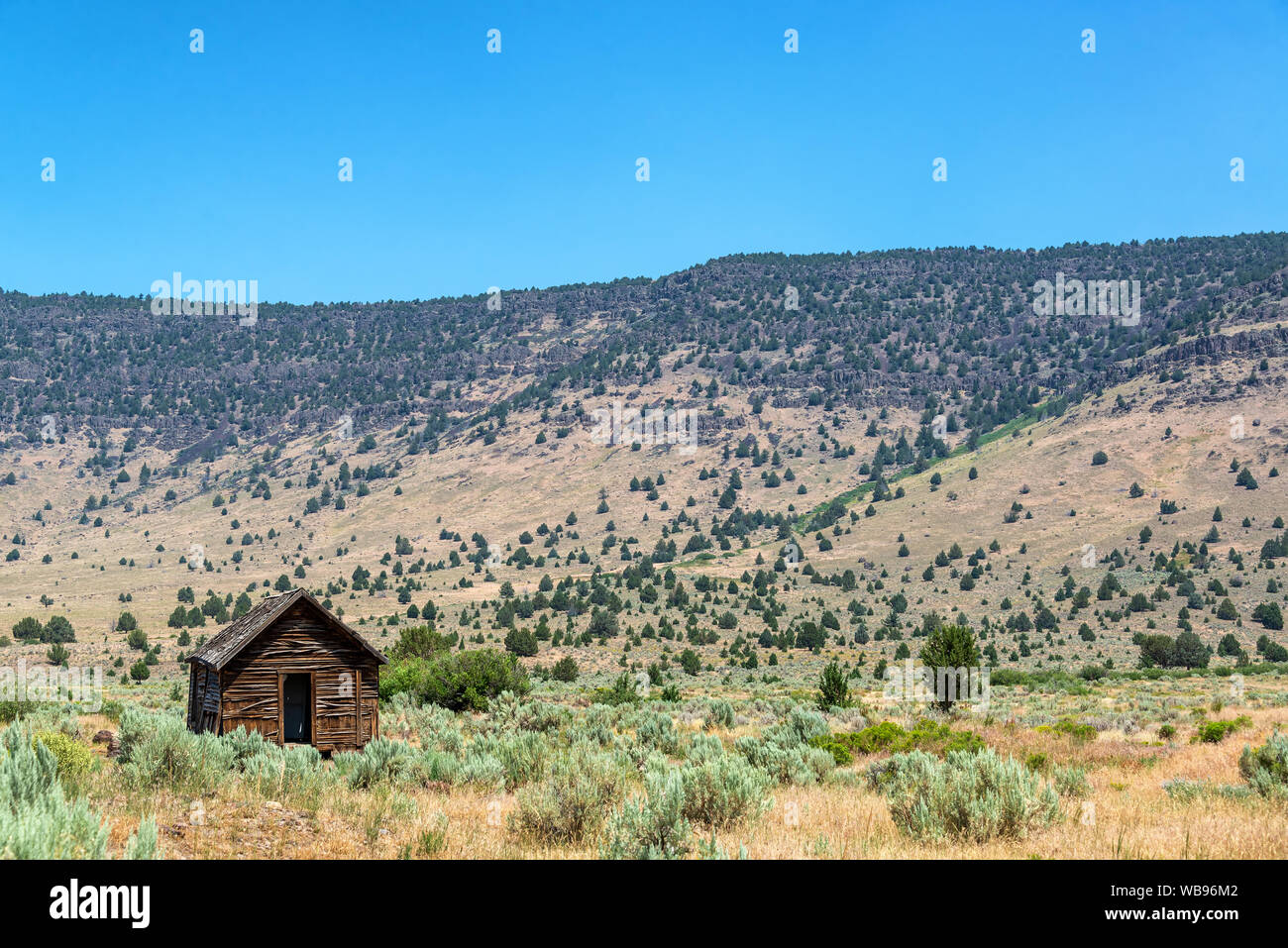 Cabina abbandonati nel sud-est della Oregon con il Steens Mountain Range in background Foto Stock