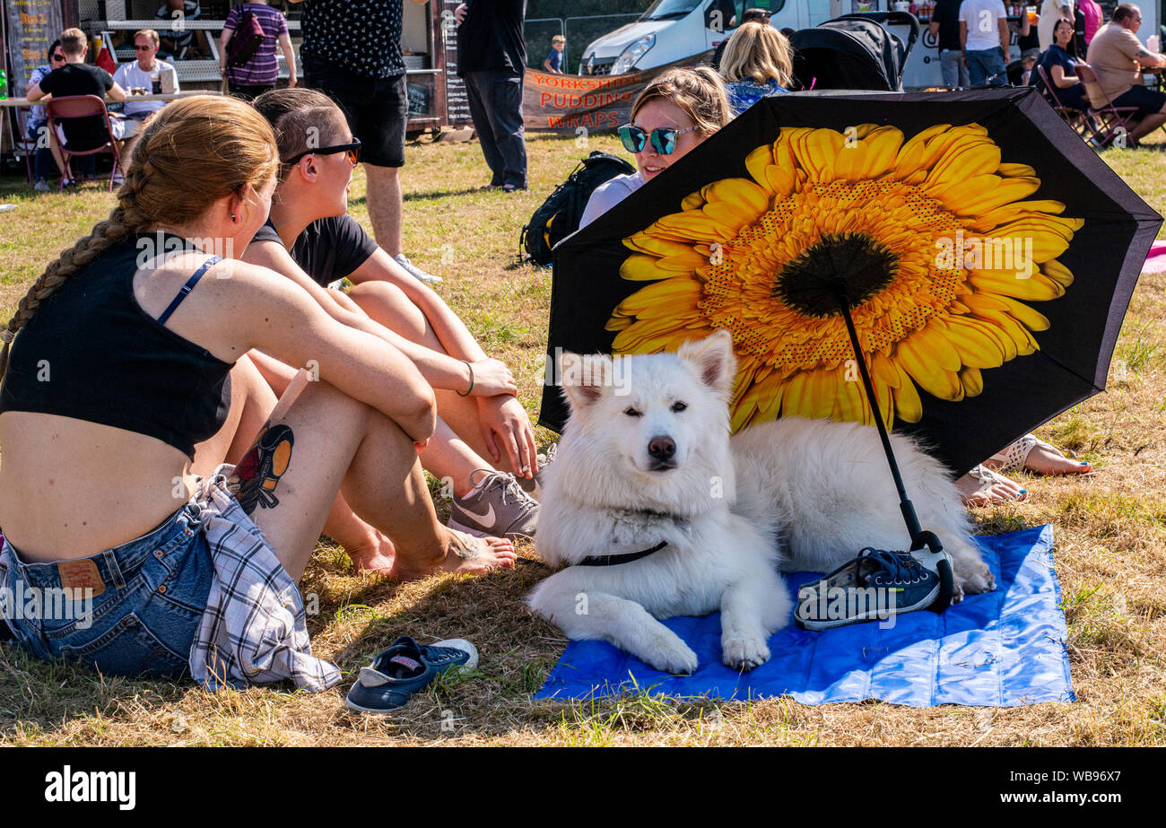 Proprietari di animali domestici protezione cane dall ondata di caldo con ombrellone, Harrogate Food and Drink Festival di Ripley, Harrogate, Regno Unito, 25 agosto 2019 Foto Stock
