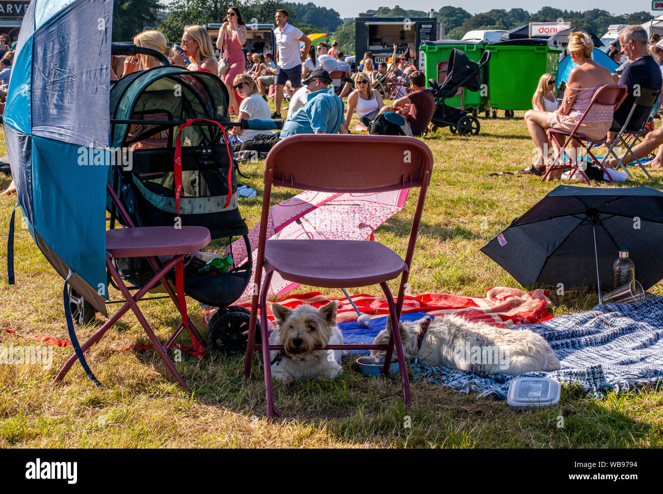 Persone e animali domestici cercando di rifugio da molto tempo caldo, Harrogate Food and Drink Festival di Ripley, Harrogate, Regno Unito, 25 agosto 2019 Foto Stock