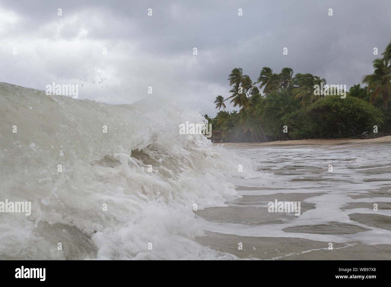 La spiaggia di Les Salines vicino a Sainte Anne, Martinica. Foto Stock