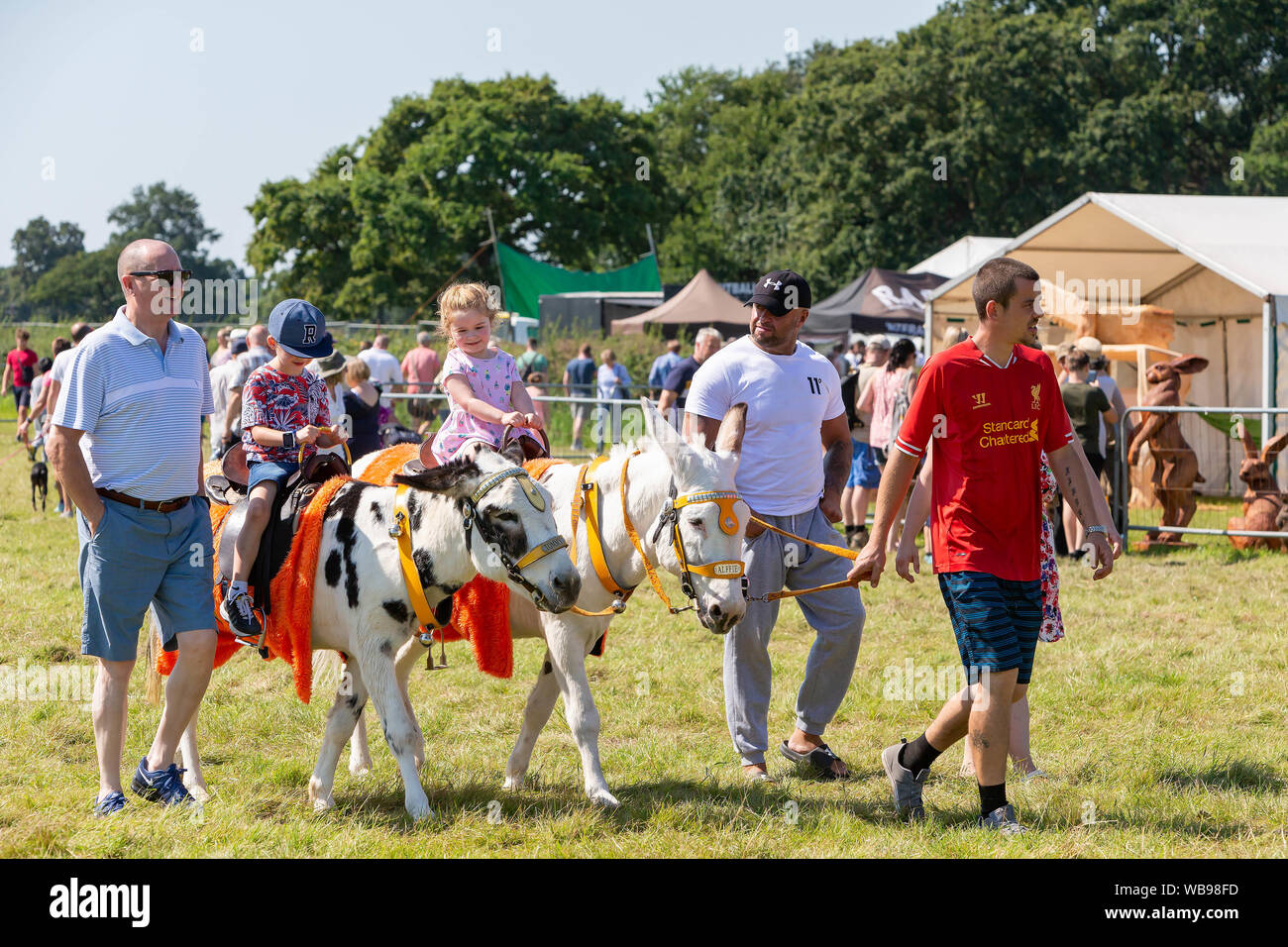 Tabley, Cheshire, Regno Unito. 25 Ago, 2019. Il xv inglese motosega aperta concorrenza alla Contea di Cheshire Showground, Inghilterra - le famiglie sono state in grado di intrattenere i bambini con donkey rides Credito: John Hopkins/Alamy Live News Foto Stock