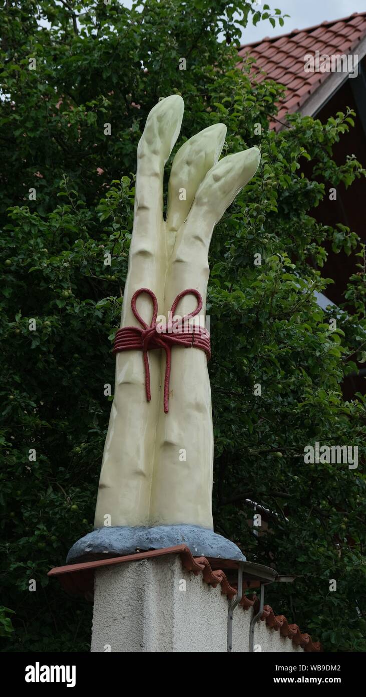 Gli asparagi legate con un nastro rosso Foto Stock