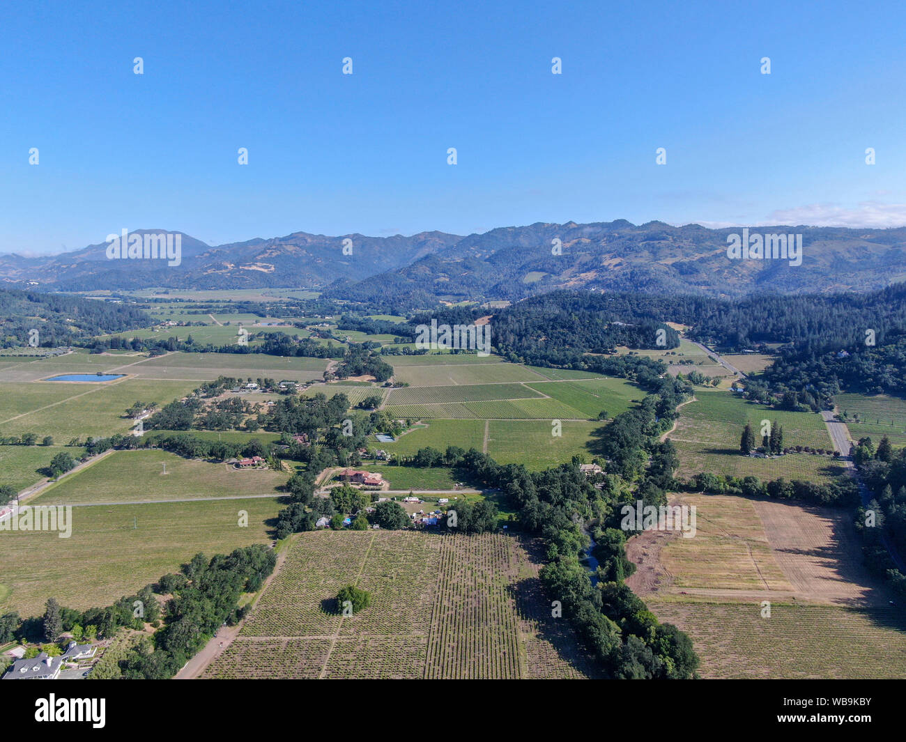 Vista aerea del vigneto in Napa Valley. Napa County in California's Wine Country. Paesaggio di vigneti. Foto Stock