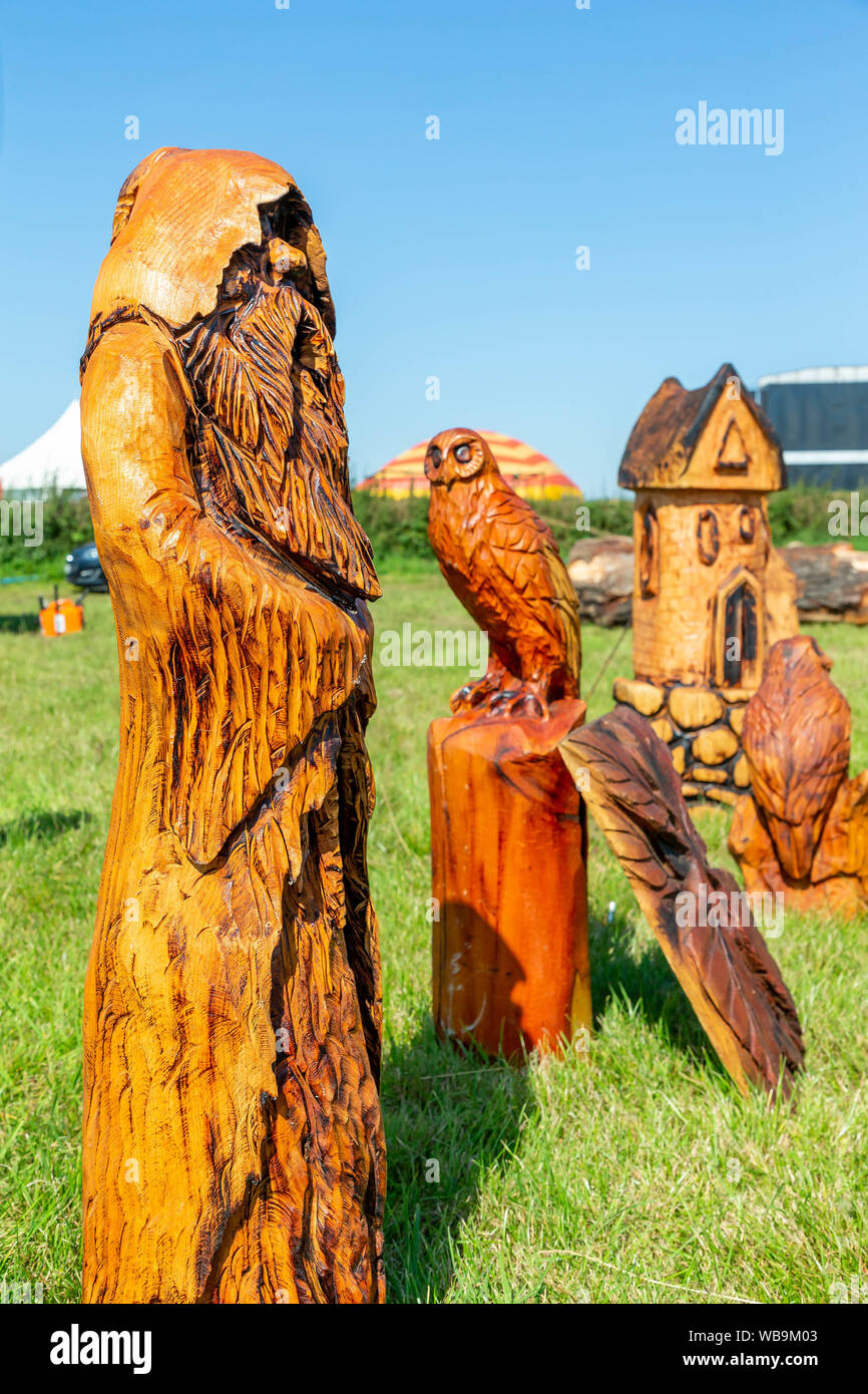 Knutsford, Cheshire, Regno Unito. 25 ago 2019. Il xv inglese motosega aperta concorrenza alla Contea di Cheshire Showground, Inghilterra - esempi in mostra Credito: John Hopkins/Alamy Live News Foto Stock