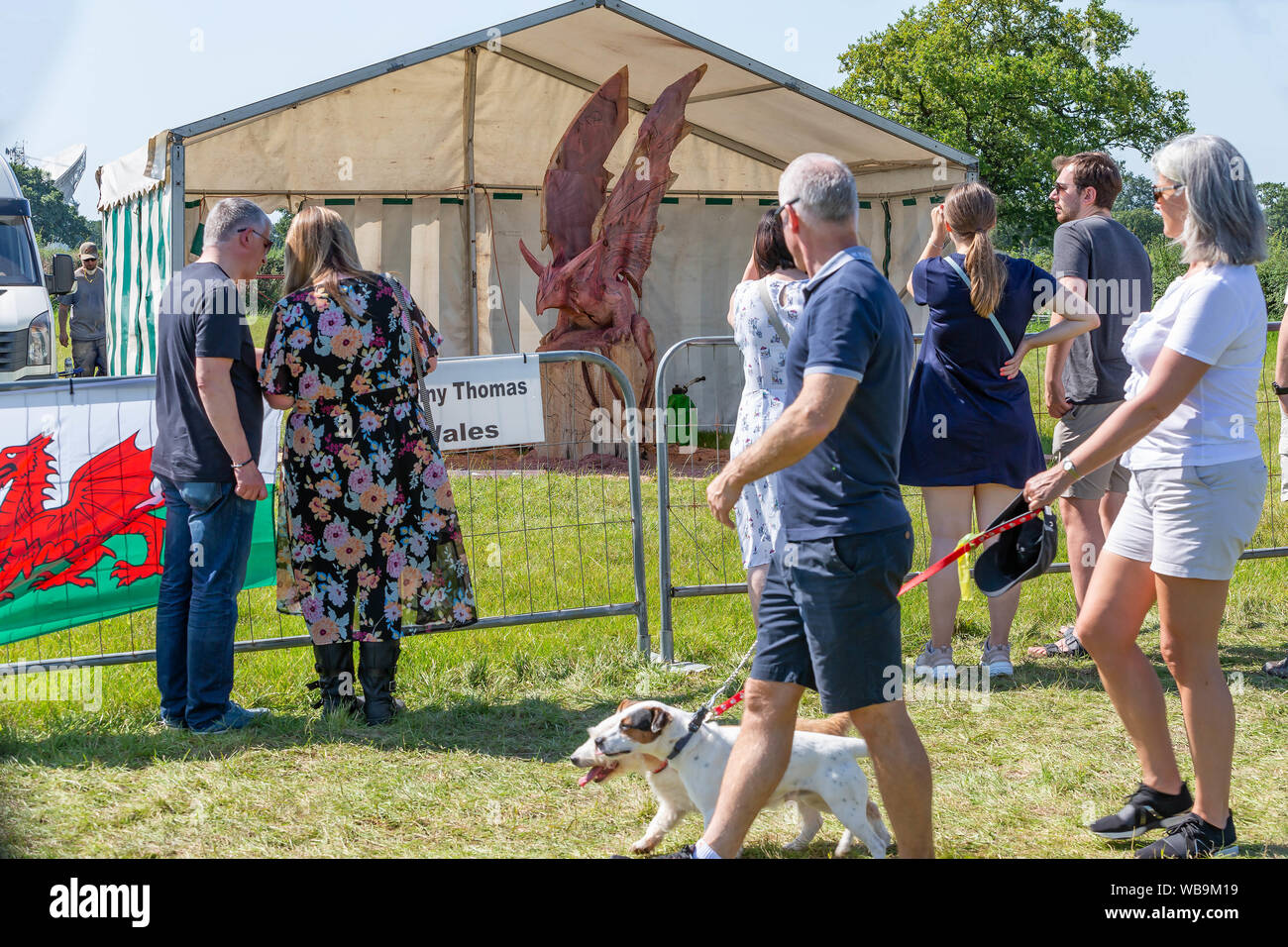 Knutsford, Cheshire, Regno Unito. 25 ago 2019. Il xv inglese motosega aperta concorrenza alla Contea di Cheshire Showground, Inghilterra - persone a piedi passato e visualizzare la creatura alata essendo intagliato da Danny Thomas del Galles Credito: John Hopkins/Alamy Live News Foto Stock