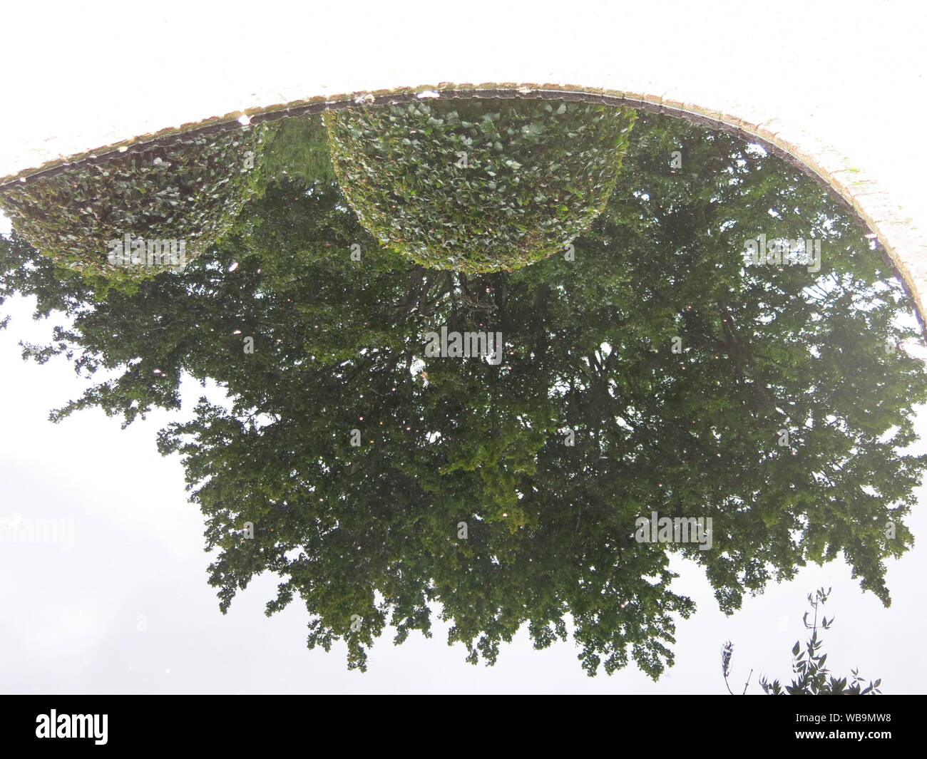 Il Giardino dei filosofi a Cottesbrooke include un inky black contemplazione piscina, dove dagli alberi circostanti sono riflessi nello specchio-come l'acqua. Foto Stock