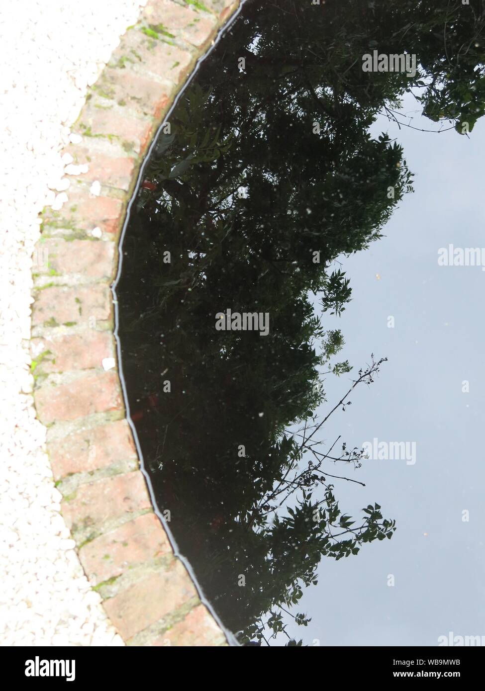 Il Giardino dei filosofi a Cottesbrooke include un inky black contemplazione piscina, dove dagli alberi circostanti sono riflessi nello specchio-come l'acqua. Foto Stock