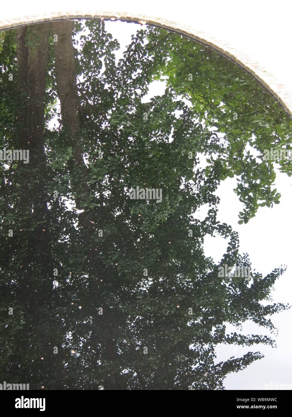 Il Giardino dei filosofi a Cottesbrooke include un inky black contemplazione piscina, dove dagli alberi circostanti sono riflessi nello specchio-come l'acqua. Foto Stock