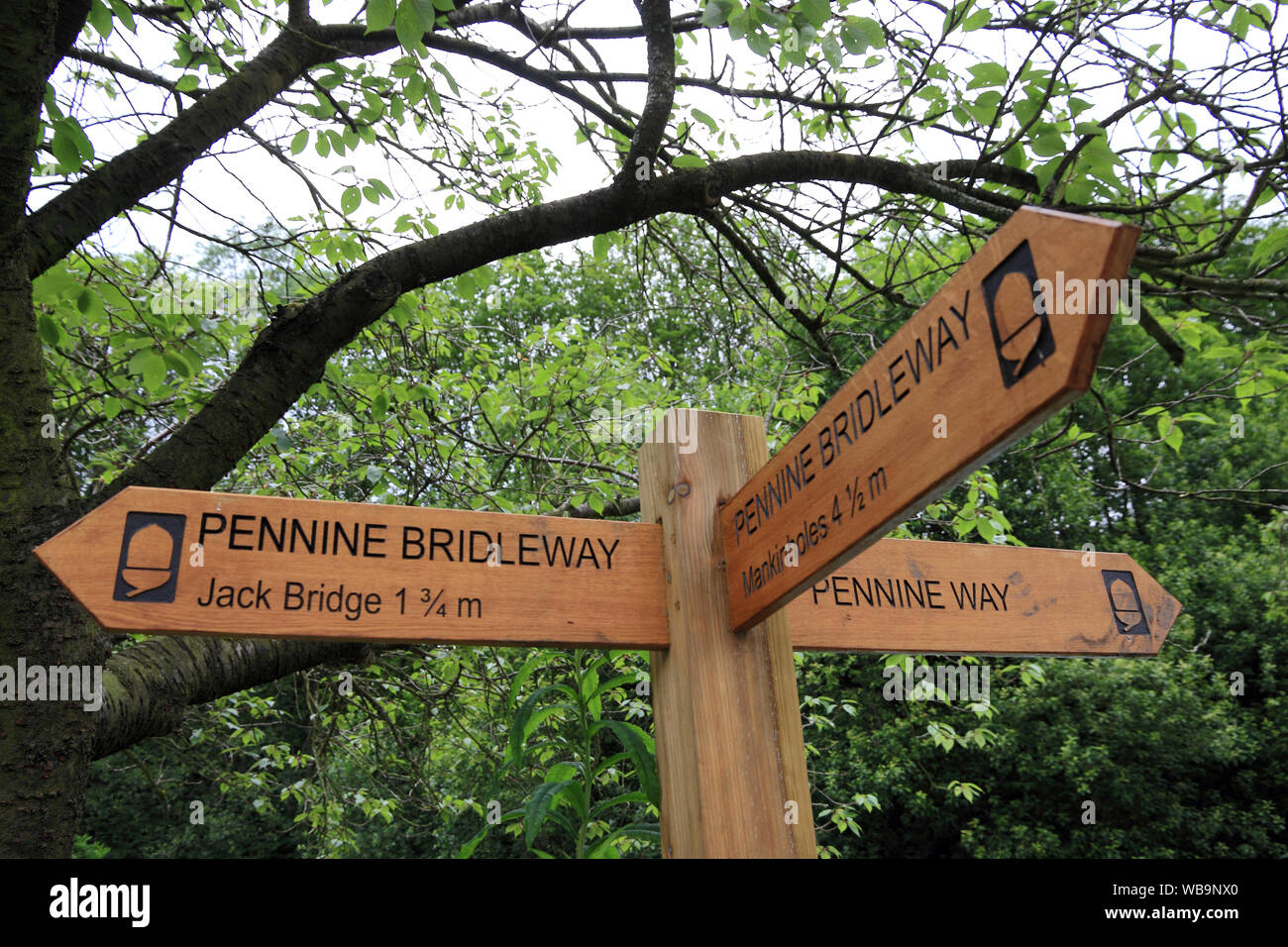 Pennine Bridleway / Pennine Way signpost, Hebden Bridge Foto Stock