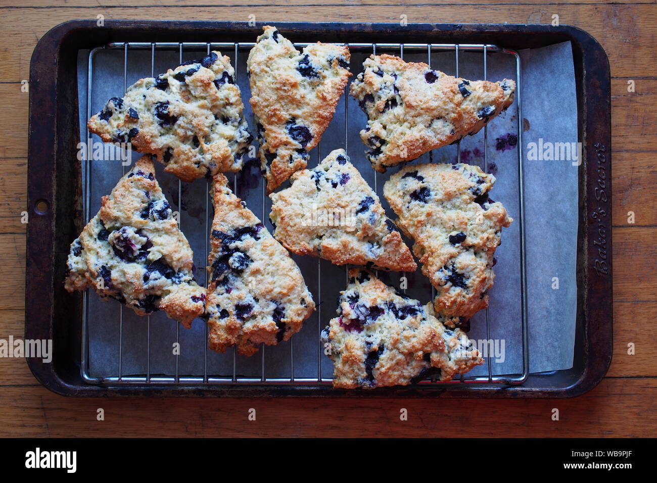 Mirtillo scones su un rack in acciaio su un vassoio da forno fresco di forno. E abbiamo avuto clotted cream. E cagliata di limone. Punteggio. Foto Stock