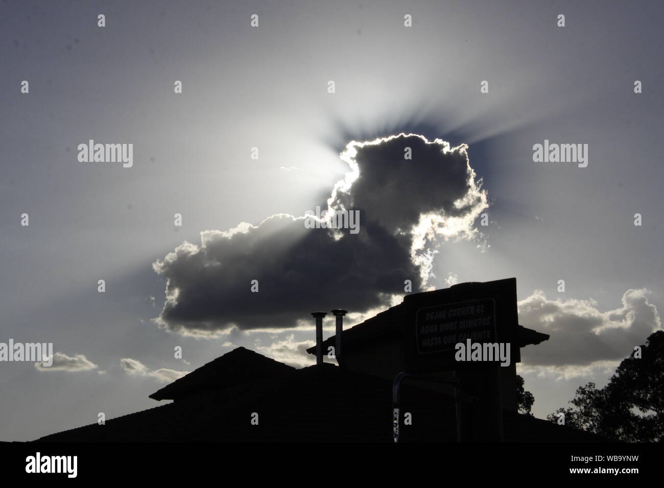 È possibile vedere un cane nella nuvola? Foto Stock