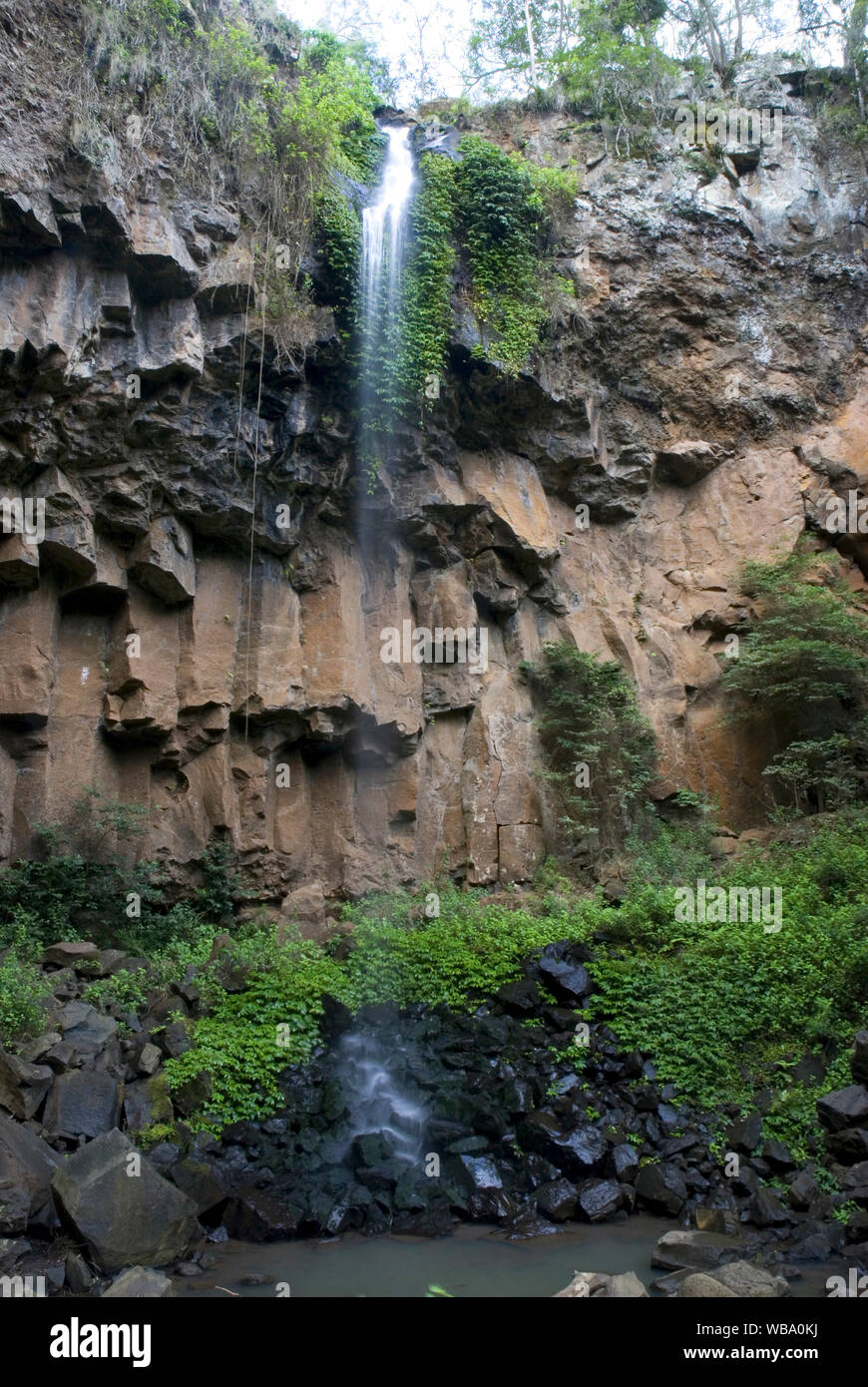 Browns cade su Spring Creek, affluente del fiume Condamine, cada sopra una rupe di colonne di basalto. Vicino a Killarney, Darling Downs, Queensland, Au Foto Stock