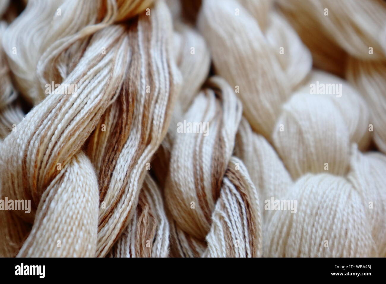 In cotone organico in bianco naturale e non tinta marrone Colori. catene di tessitura pronto per la realizzazione di tessuto Foto Stock