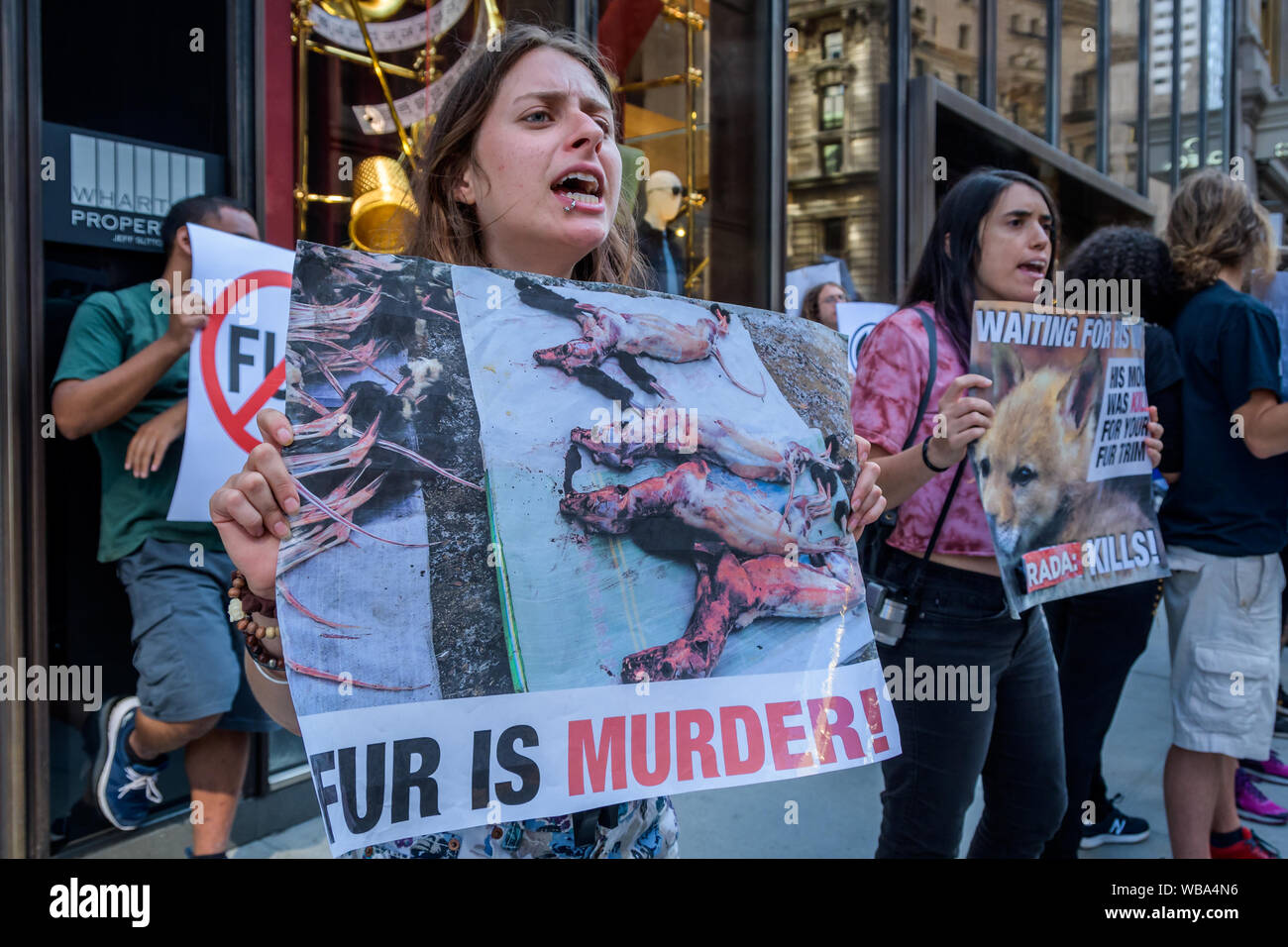 New York, Stati Uniti. 25 Ago, 2019. Animali attivisti per la liberazione di lusso mirati marche della moda DIOR, Fendi, e D&G i negozi retail in New York il 25 agosto 2019 la chiusura della Gazzetta dei diritti degli animali marzo weekend inviando un forte e potente messaggio di fur venditori ambulanti in NYC chiedono loro di smettere di vendere pellicce reale e di smettere di uccidere gli animali per la loro pelliccia. (Foto di Erik McGregor/Pacific Stampa) Credito: Pacific Press Agency/Alamy Live News Foto Stock