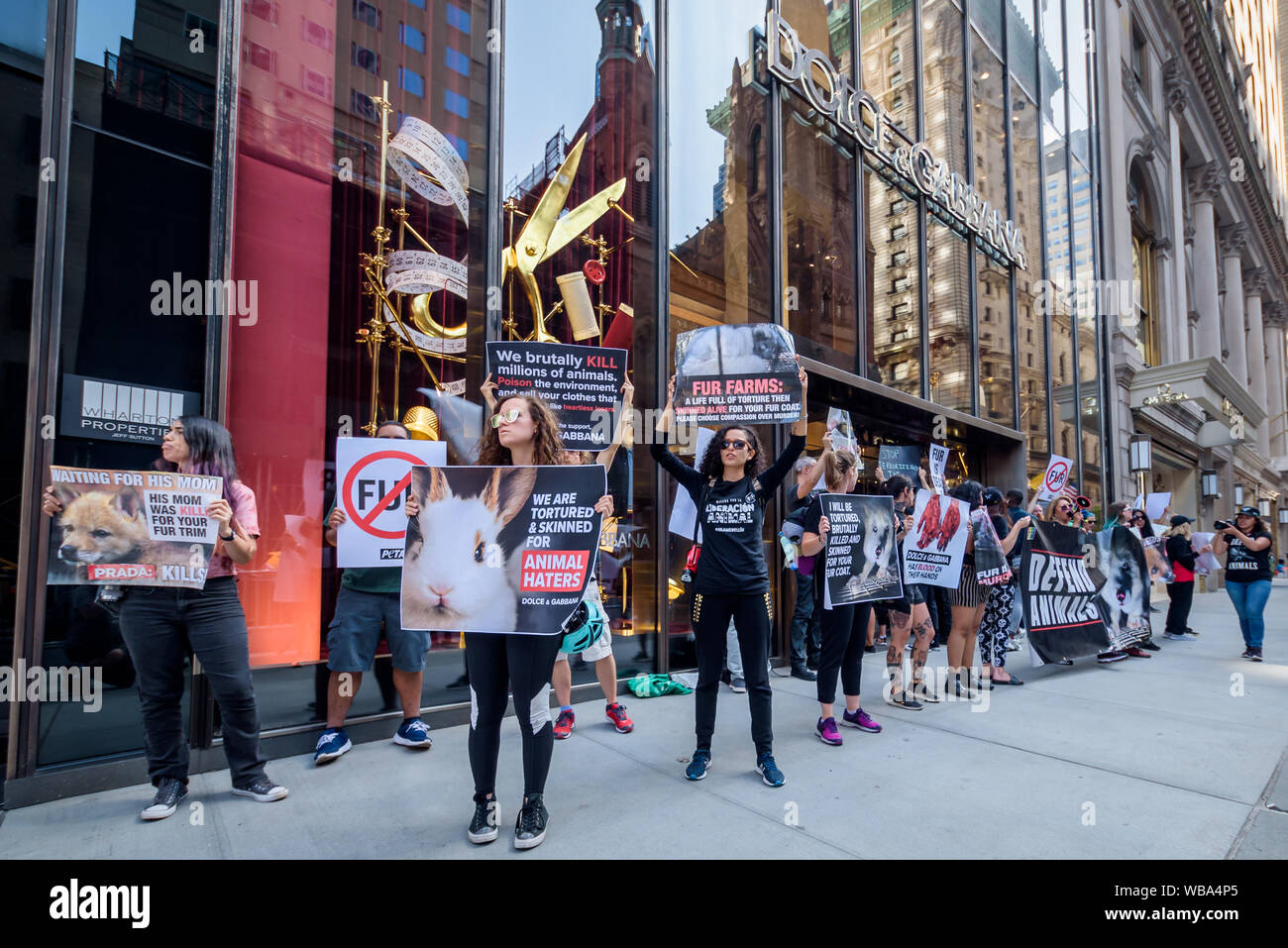 New York, Stati Uniti. 25 Ago, 2019. Animali attivisti per la liberazione di lusso mirati marche della moda DIOR, Fendi, e D&G i negozi retail in New York il 25 agosto 2019 la chiusura della Gazzetta dei diritti degli animali marzo weekend inviando un forte e potente messaggio di fur venditori ambulanti in NYC chiedono loro di smettere di vendere pellicce reale e di smettere di uccidere gli animali per la loro pelliccia. (Foto di Erik McGregor/Pacific Stampa) Credito: Pacific Press Agency/Alamy Live News Foto Stock