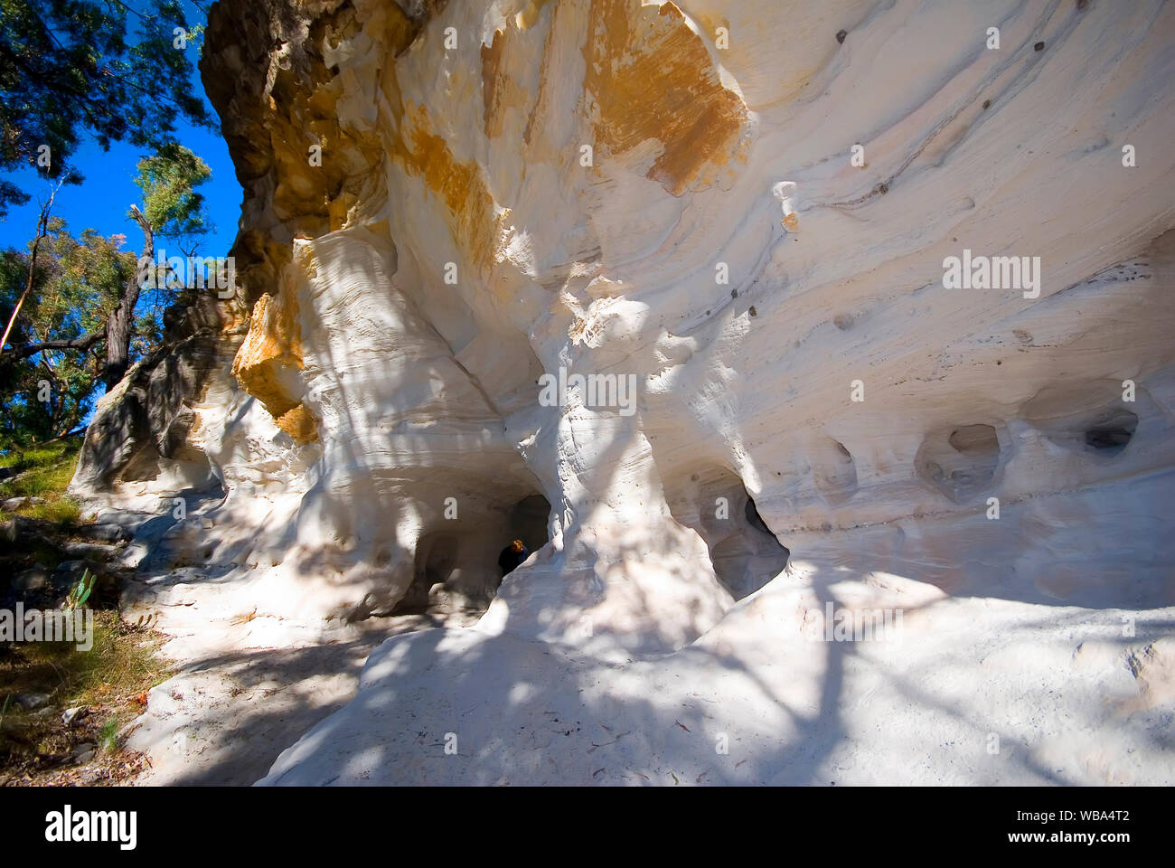 Formazioni di arenaria eroso nel corso di milioni di anni sono una caratteristica predominante di questa parte del Parco. Montare Moffatt sezione, Carnarvon National Park Foto Stock