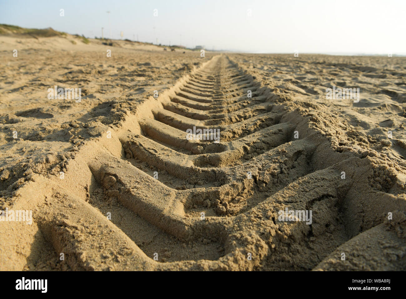 Durban, Sud Africa, close up, dettaglio modello di pneumatico del trattore nella spiaggia di sabbia di scomparire all'infinito, paesaggio, sfondo Foto Stock