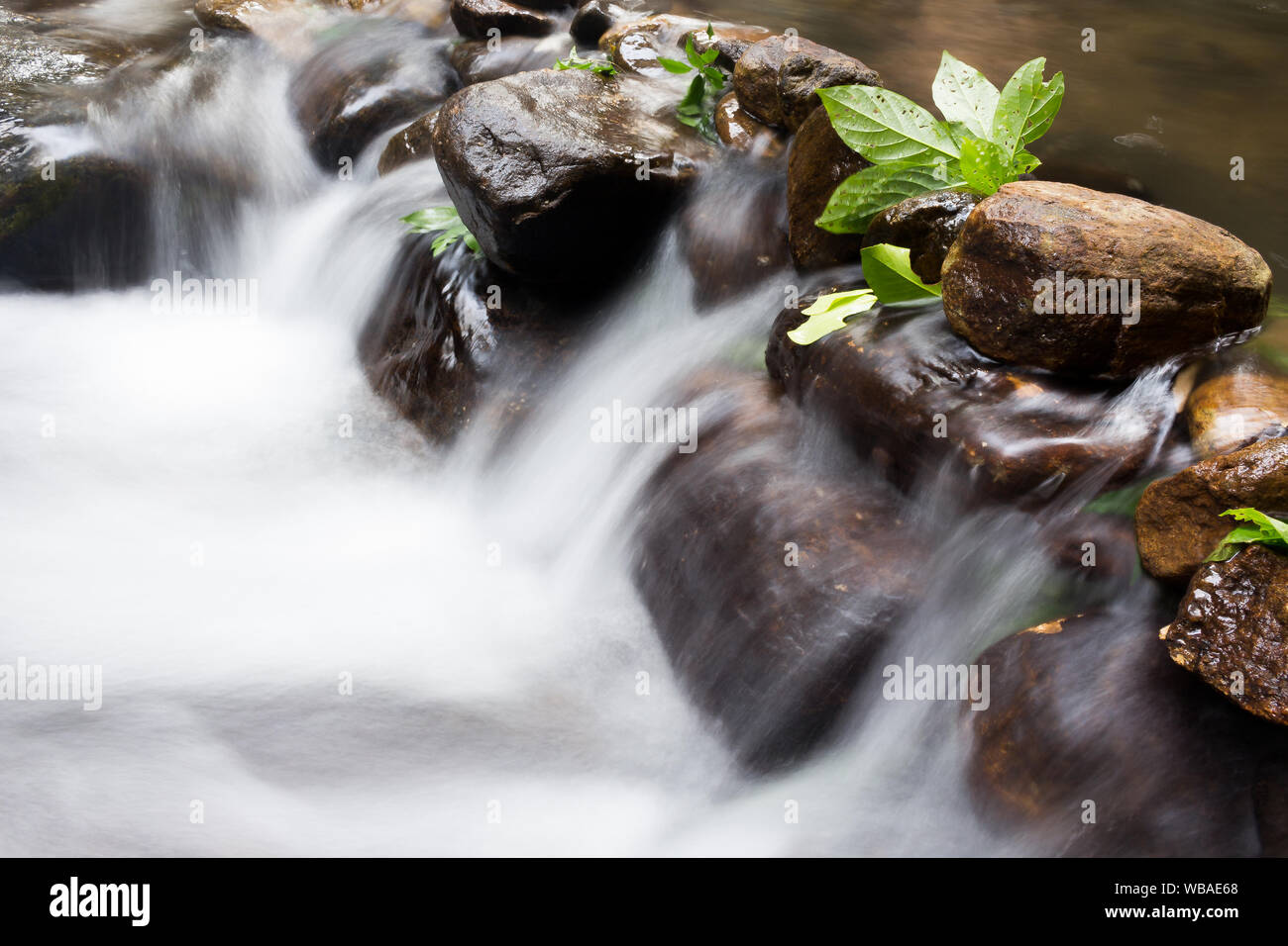 Otturatore lento foto di un piccolo flusso di acqua che fluisce attraverso le piccole pietre Foto Stock