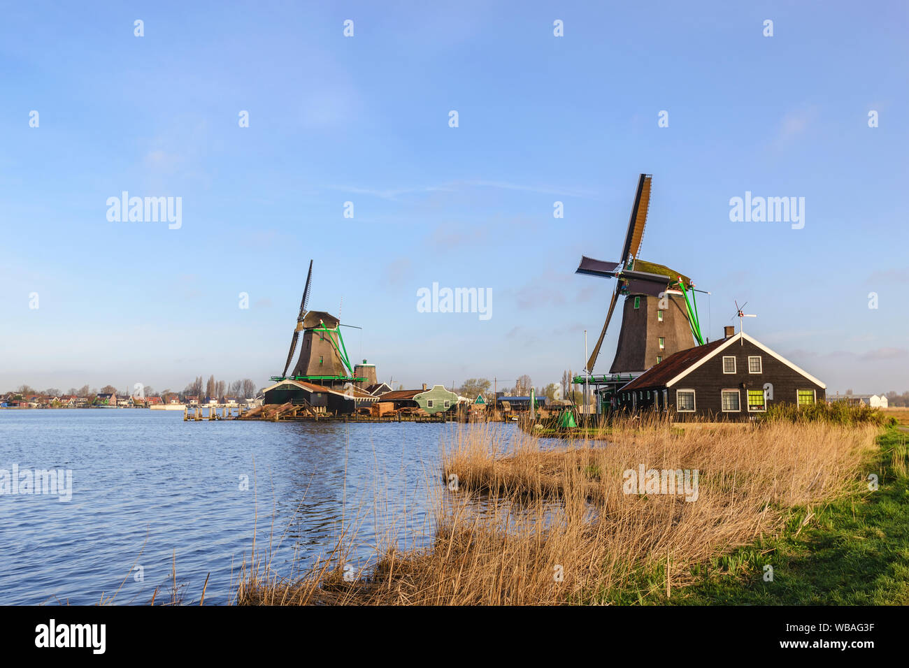Amsterdam Paesi Bassi, paesaggio del mulino a vento olandese a Zaanse Schans Village Foto Stock