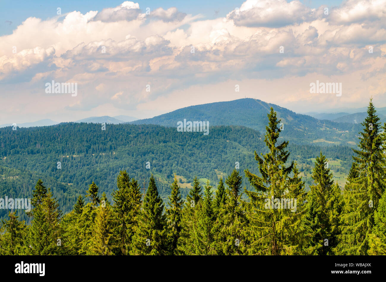 Belle montagne dei Carpazi in Ucraina Foto Stock