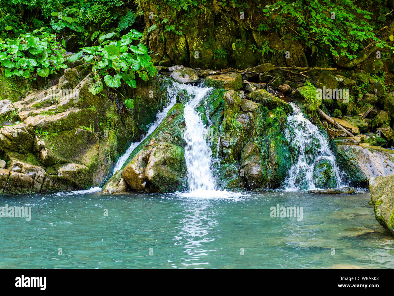 Cascata Kamianka nei Carpazi Foto Stock