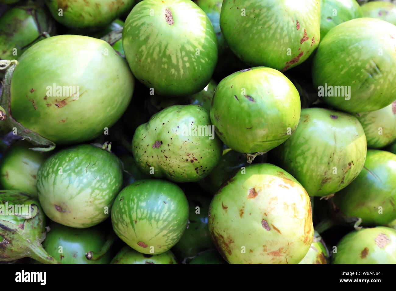 Mani Sithu Mercato in Bagan, MYANMAR Birmania Foto Stock