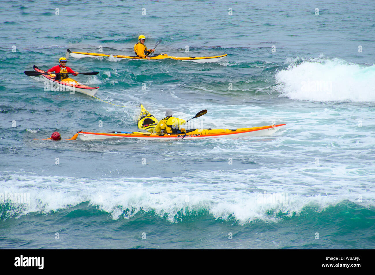 Kayakers. Shoalwater Islands Marine Park, vicino a Rockingham, Australia occidentale Foto Stock