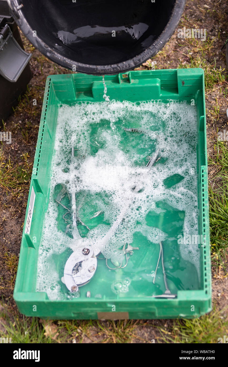 Lipizzan. La castrazione di uno stallone. Kit chirurgico in un bagno disinfettante. Germania Foto Stock