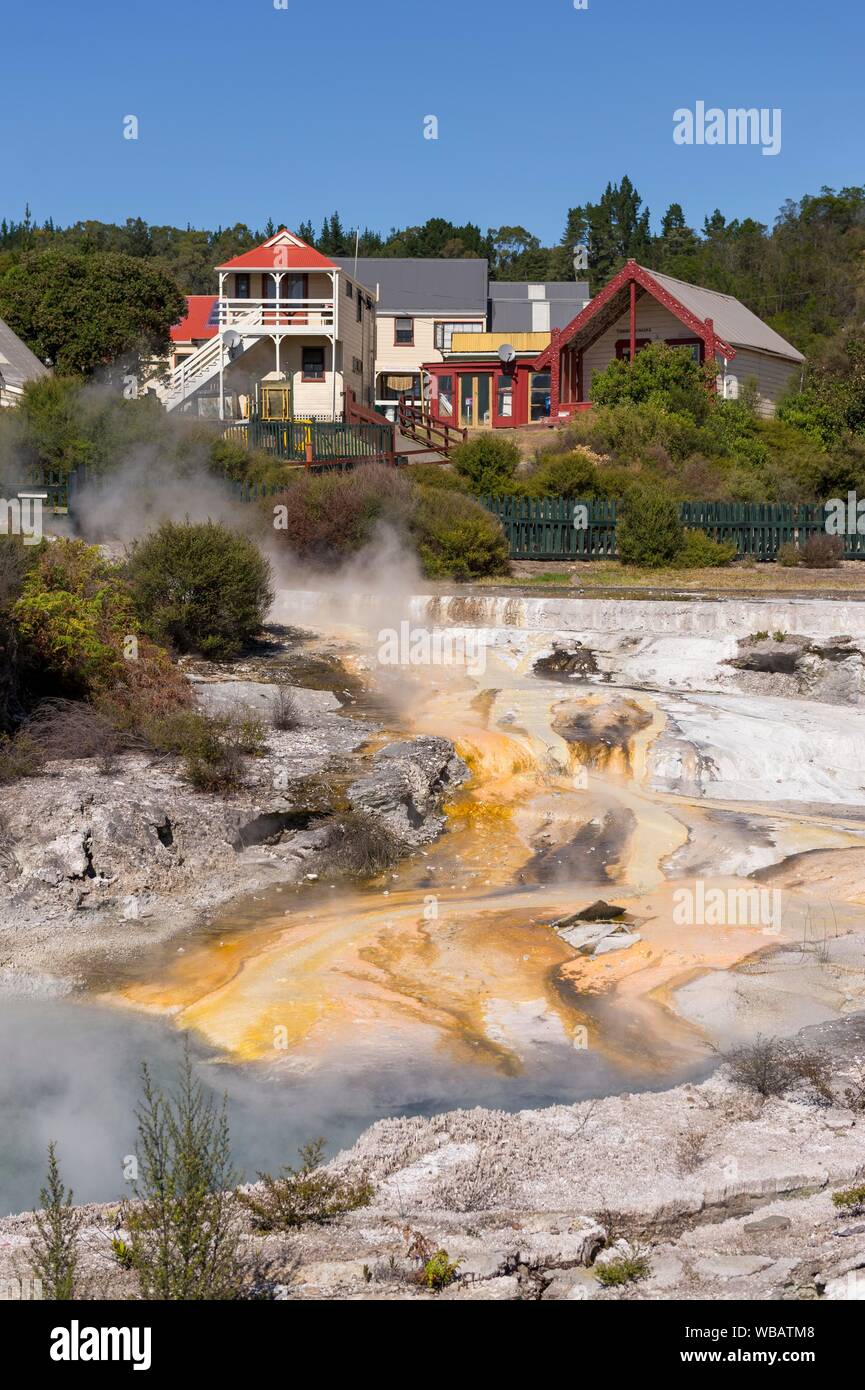 Hot fonti di zolfo nel campo geotermico di Whakarewarewa, Rotorua, Isola del nord della Nuova Zelanda Foto Stock