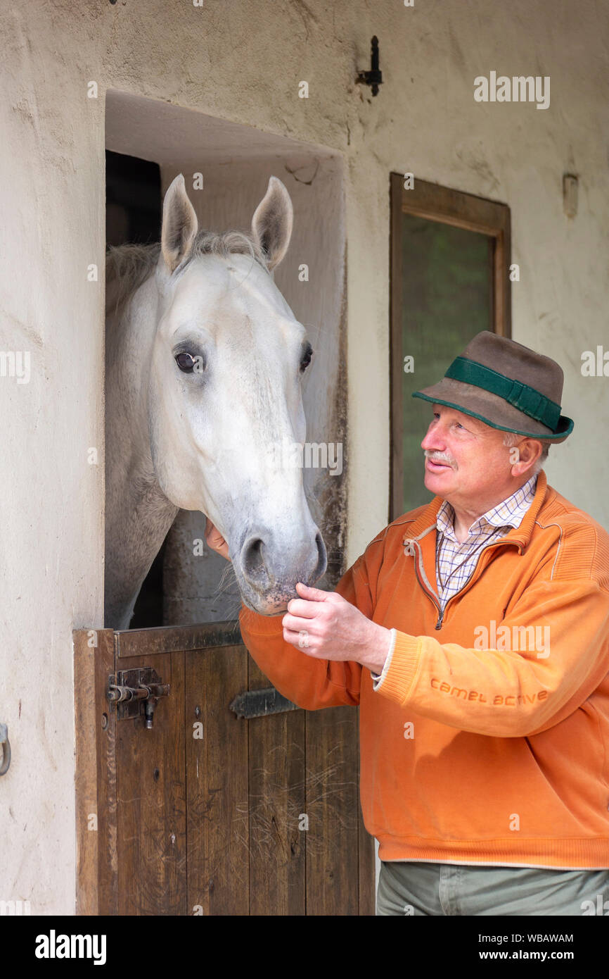 Lipizzan. Cavallo e il suo proprietario Eberhard Weiss. Germania Foto Stock