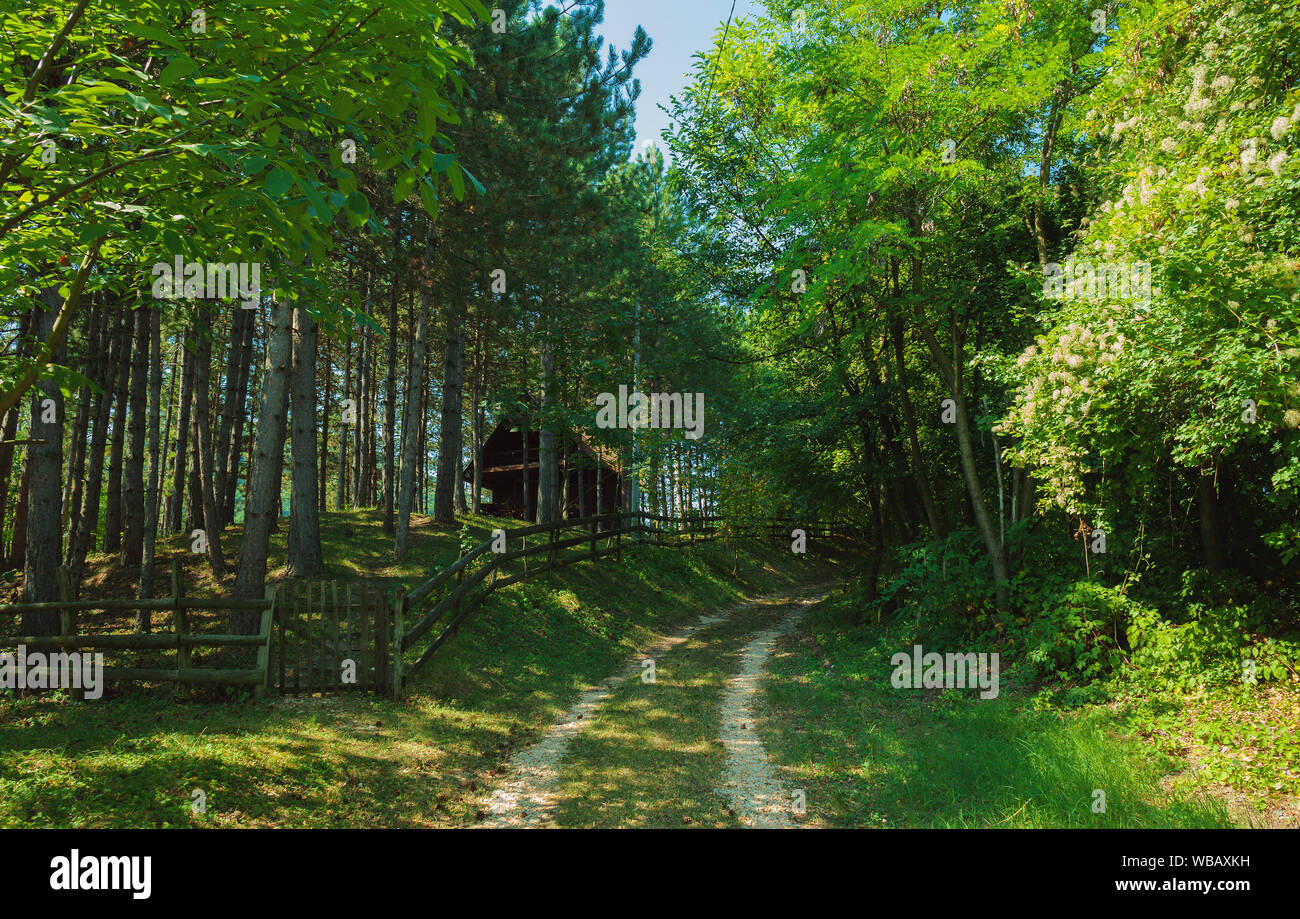 Una casa in legno in foresta, durante la stagione estiva. Foto Stock