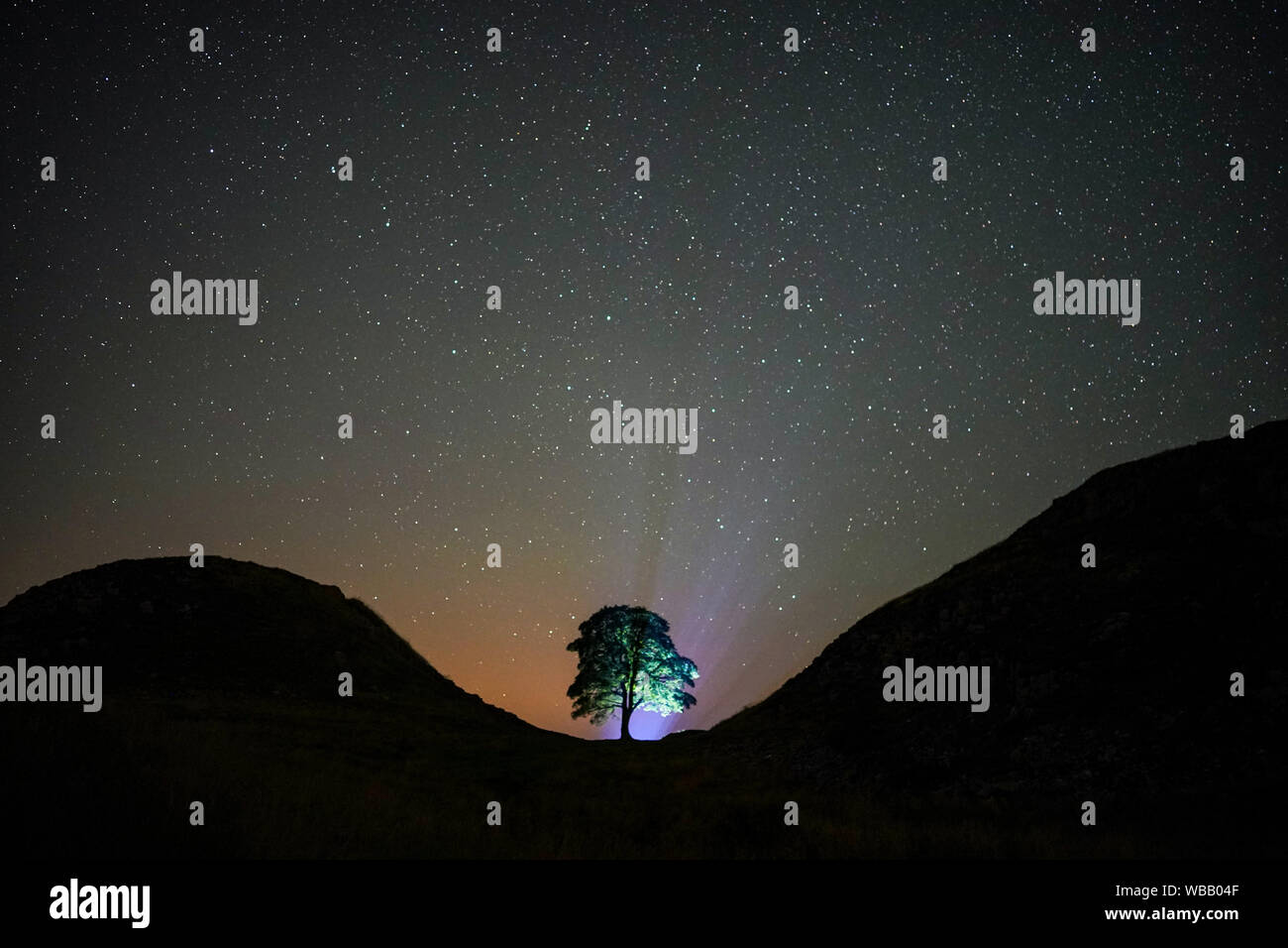 Un fotografo linee fino un colpo su una chiara notte sotto la Via Lattea a Sycamore spazio sulla parete di Adriano in Northumberland, reso famoso per la sua parte nel 1991 Kevin Costner film Robin Hood Principe dei ladri. Foto Stock