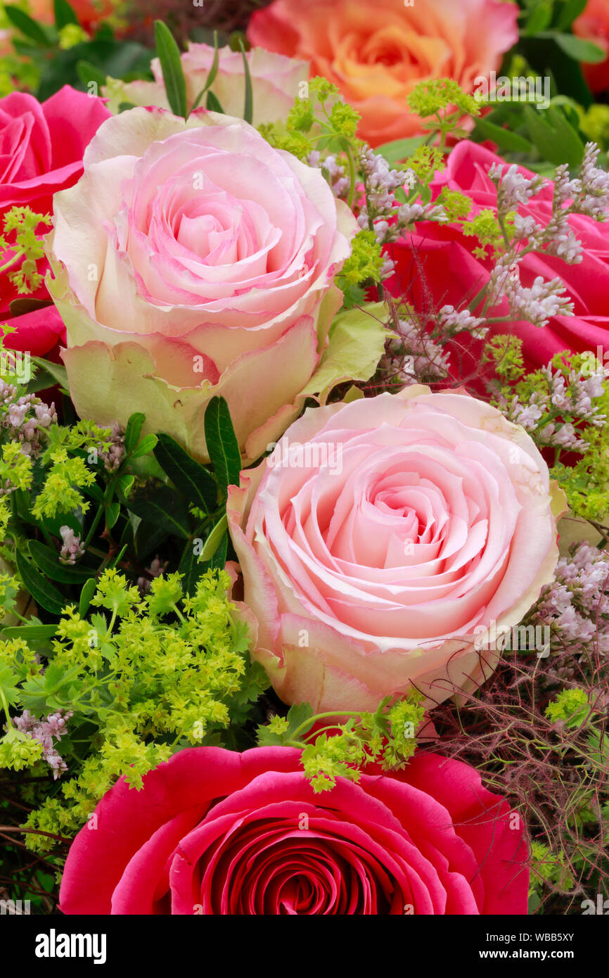 Bouquet fatto di rose rosa, close-up. Svizzera Foto stock - Alamy