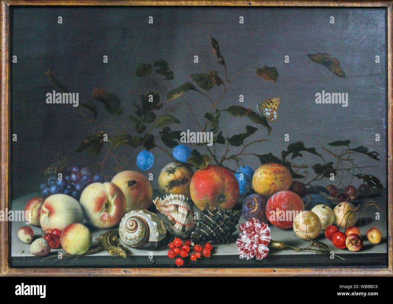 'Still vita con frutta e gusci Sea-Snail', 1635 da Balthasar van der Ast (1593/94-1657) Foto Stock