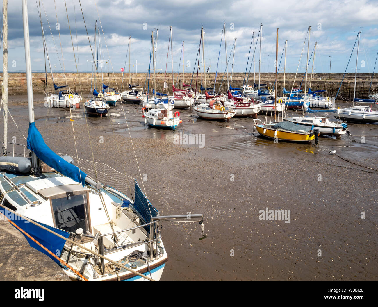 Porto Fisherrow a bassa marea, Musselburgh, East Lothian, Scozia, Regno Unito. Foto Stock