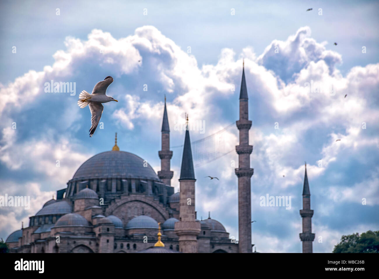 Giorno nuvoloso e Moschea Suleymaniye Foto Stock