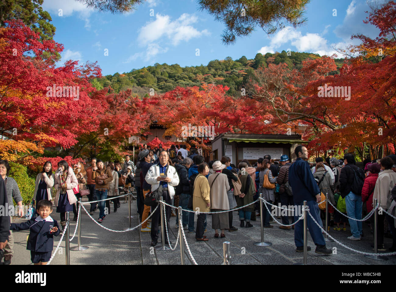 Grandi folle in visita Tofuku-ji, Kyoto, Giappone Foto Stock