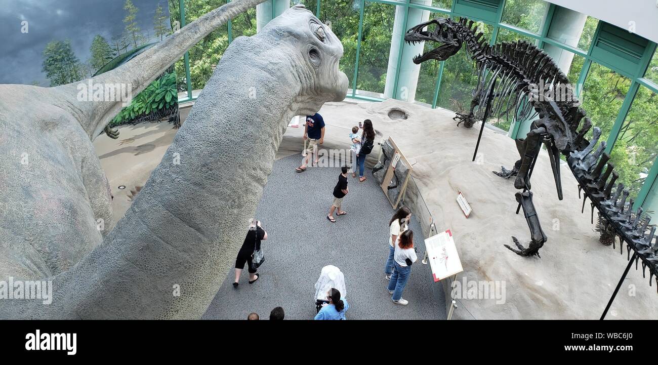 I visitatori a esplorare dinosauro presenta all'interno del Museo di Scienze Naturali, Raleigh USA Foto Stock