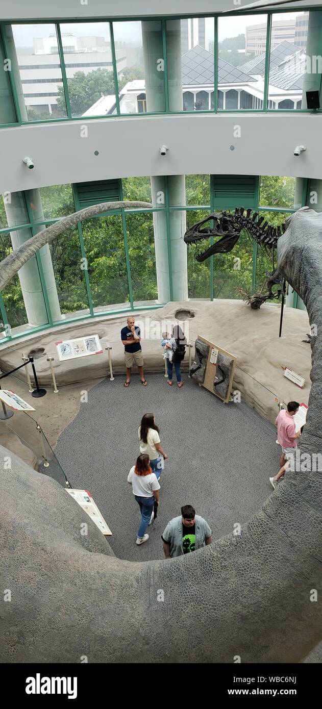 La gente ad esplorare mostre all'interno presso la North Carolina Museo di Scienze Naturali, Raleigh, STATI UNITI D'AMERICA Foto Stock