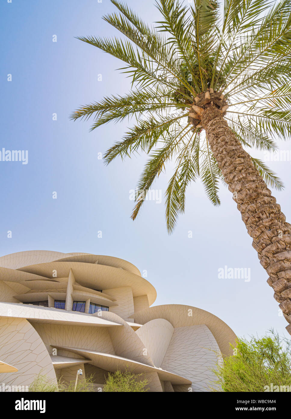Museo Nazionale del Qatar incorniciata da un albero di palma, Doha, Qatar Foto Stock